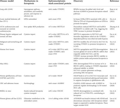 More than a duologue: In-depth insights into epitranscriptomics and ferroptosis